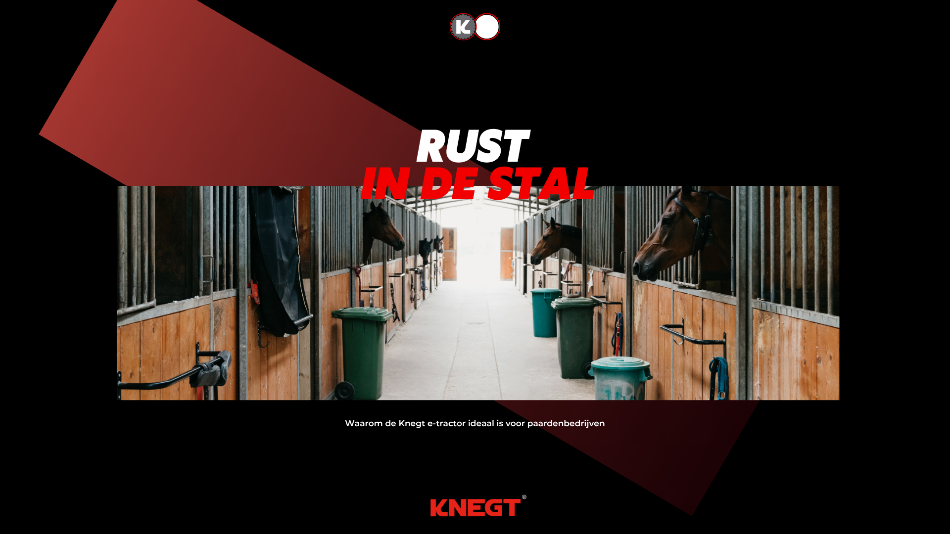 Stil, schoon en stressvrij: de Knegt in de paardensector